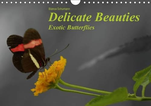 Delicate Beauties Exotic Butterflies / UK-Version 2016