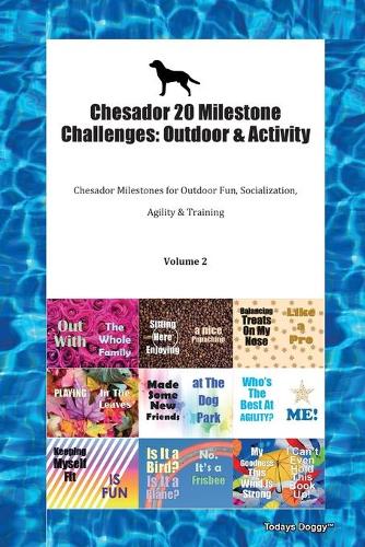 Chesador 20 Milestone Challenges