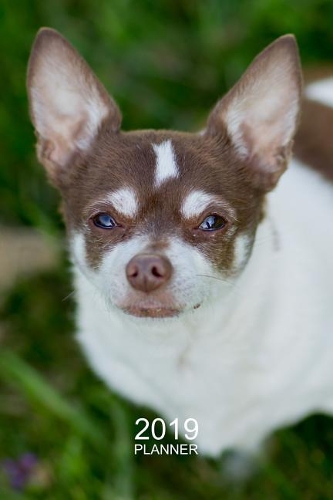 Chihuahua Planner 2019: Beautiful Chihuahua Organizer and Notebook
