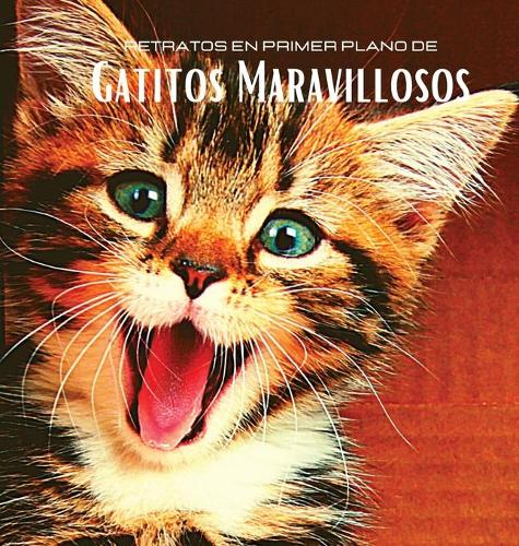 Retratos en Primer Plano de Gatitos Maravillosos: Álbum de fotos en color con preciosos gatitos. Idea de regalo para los amantes de los pequeños felinos y de la naturaleza. Libro de fotos con retrat