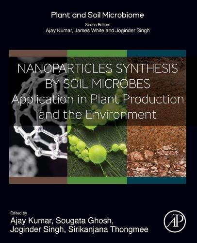 Nanoparticles Synthesis by Soil Microbes: Application in Plant Production and the Environment