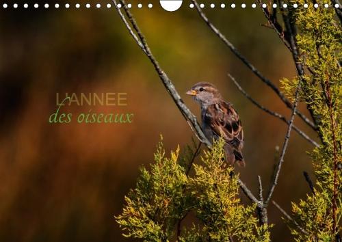 L'Annee Des Oiseaux 2018