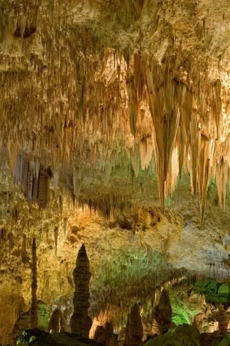 Carlsbad Caverns National Park New Mexico Journal