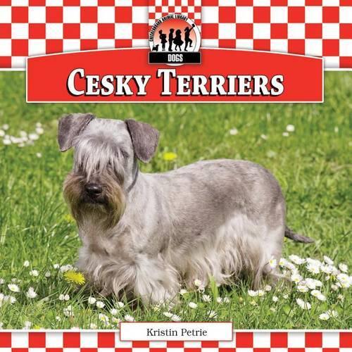 Cesky Terriers: (Dogs)
