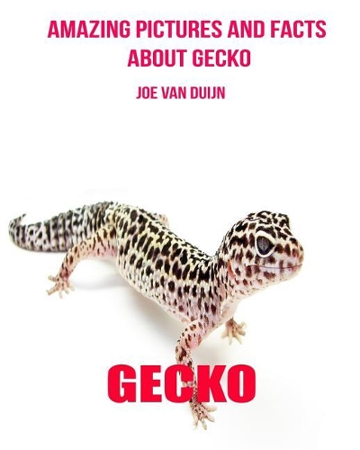 Gecko: Amazing Pictures and Facts about Gecko