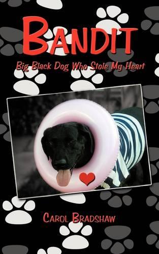 Bandit: Big Black Dog Who Stole My Heart