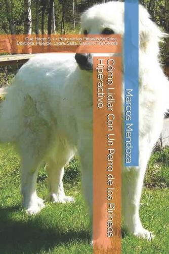 Cómo Lidiar Con Un Perro de los Pirineos Hiperactivo: Qué Hacer Si Tu Perro de los Pirineos Se Orina, Destroza, Muerde, Ladra, Salta, Gruñe o Tira Correa