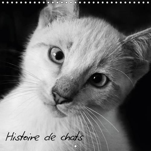 Histoire de chats 2016: Photos de chats tous plus craquants les uns que les autres !(Calvendo Animaux)