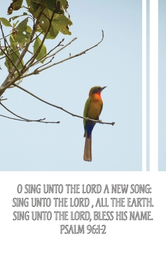 General Worship Bulletin: Sing Unto the Lord (Package of 100)