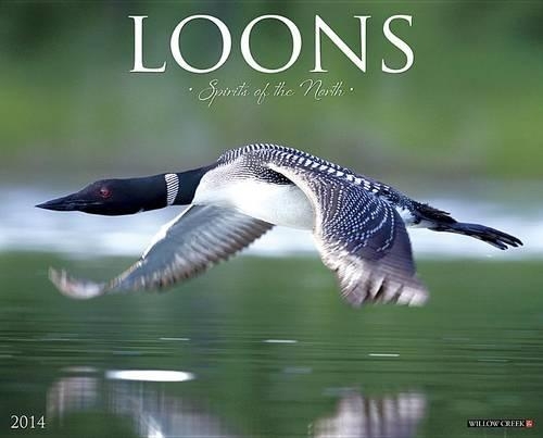 Loons