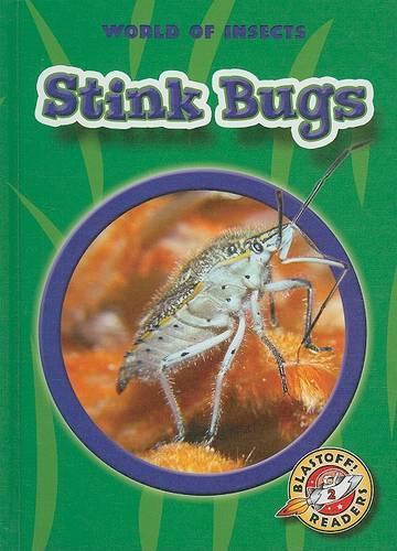 Stink Bugs