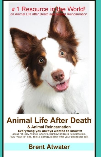 Animal Life After Death & Animal Reincarnation: Pet Loss Answers for all your heart's Questions!(English)