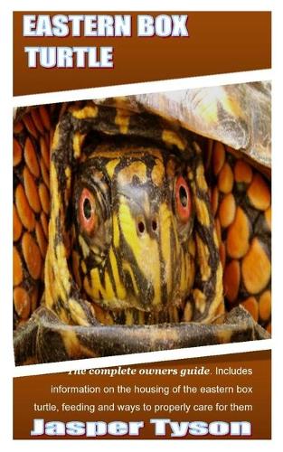 Eastern Box Turtle