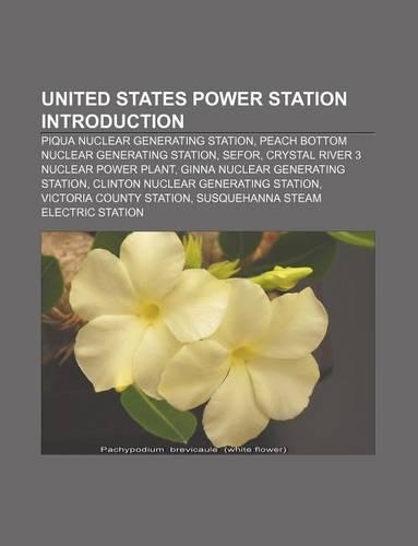 United States Power Station Introduction