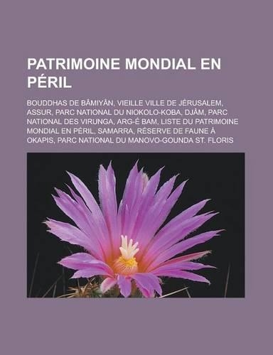 Patrimoine Mondial En Peril