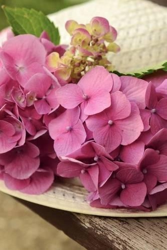White Hat Decorated with Hydrangeas
