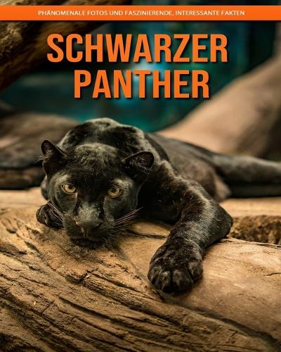 Schwarzer Panther