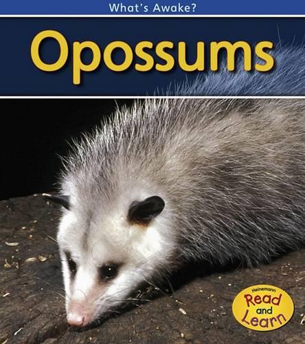 Opossums: (What's Awake?)