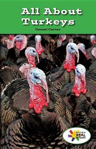 All about Turkeys