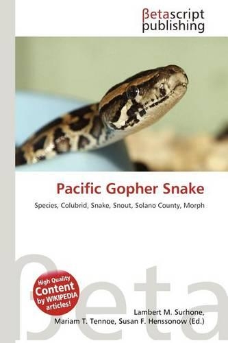 Pacific Gopher Snake