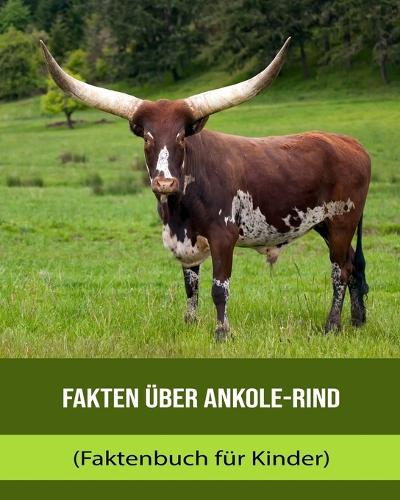Fakten über Ankole-Rind (Faktenbuch für Kinder)
