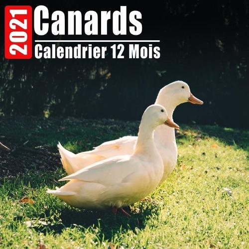 Calendrier 2021 Canards: Mini Photos Calendrier Canards Et Organisateur Mensuel Avec Citations Inspirantes Chaque Mois