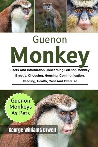 Guenon monkey
