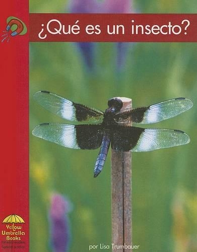 ¿qué Es Un Insecto?: (Yellow Umbrella Books: Science Spanish)