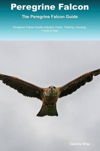 Peregrine Falcon The Peregrine Falcon Guide Peregrine Falcon Guide Includes