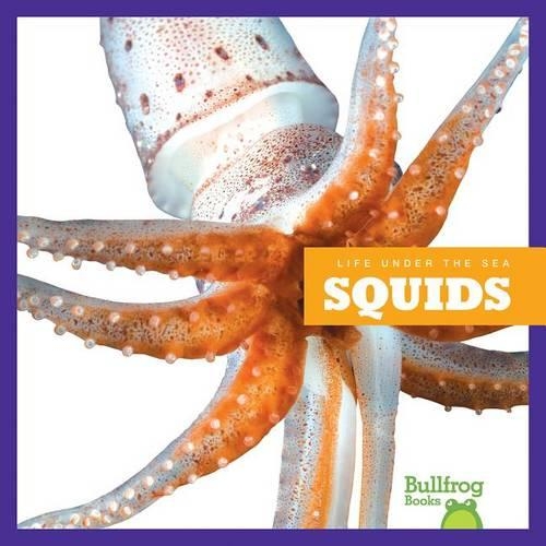 Squids: (Life Under the Sea)