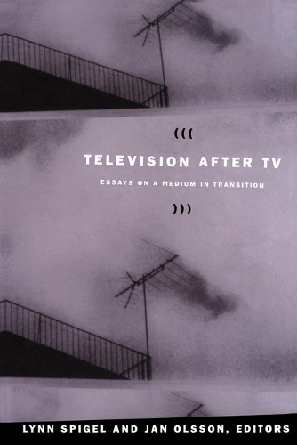 Television After TV