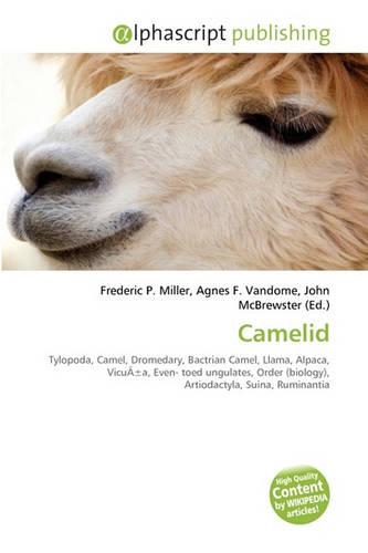 Camelid: (English)