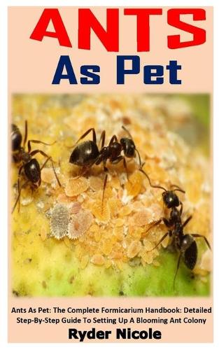Ants as Pet