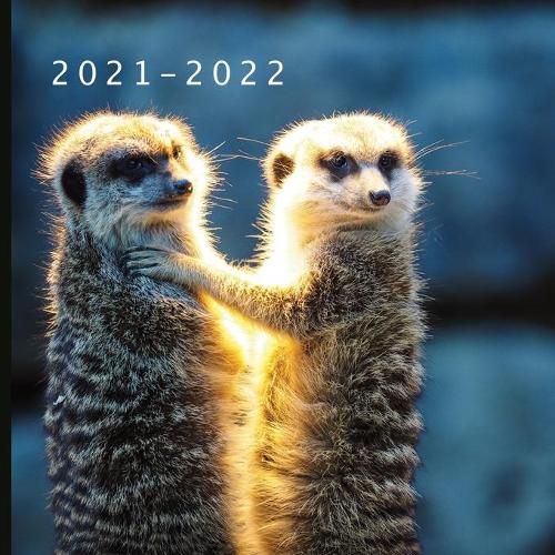 2021 - 2022