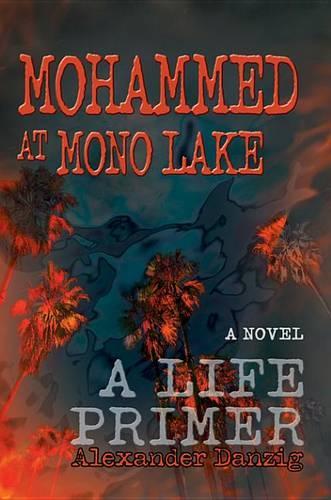 Mohammed at Mono Lake