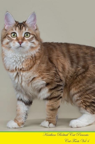 Kurilian Bobtail Cat Presents