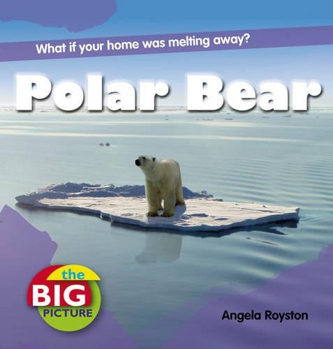 Polar Bear: (The Big Picture)