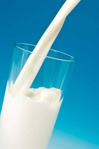 The Drink Milk Journal