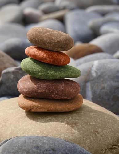 Japanese Writing Practice Book Genkouyoushi Paper