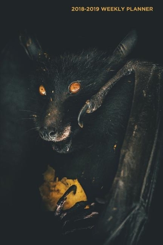 2018-2019 Weekly Planner