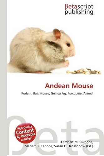Andean Mouse