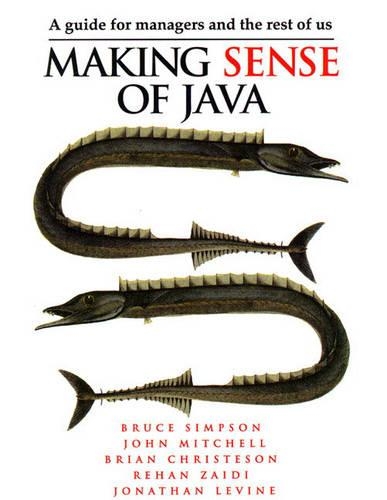 Making Sense of JAVA: A Guide for Managers and the Rest of Us