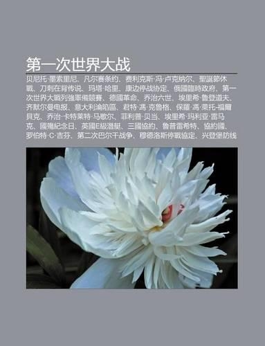 Di y CI Shi Jie Da Zhan