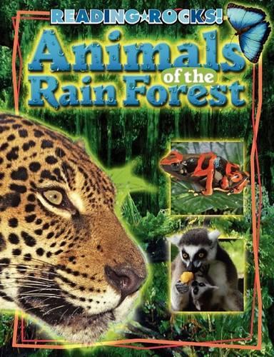 Animals of the Rain Forest