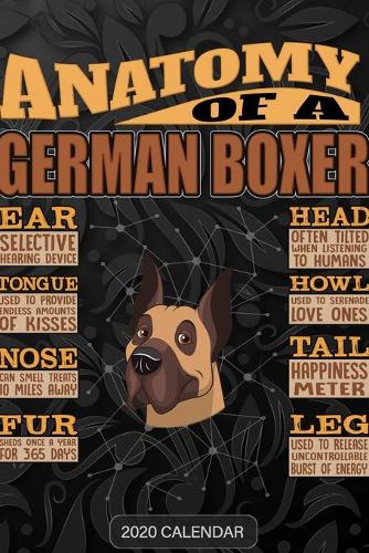 Anatomy Of A German Boxer