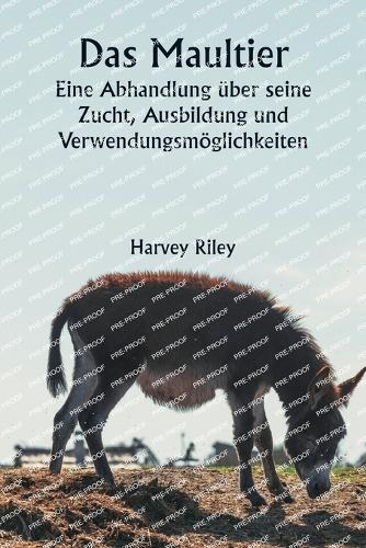 The Senator's Bride (Edition1)