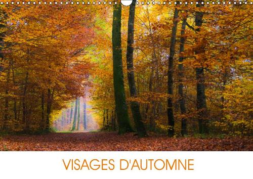 VISAGES D'AUTOMNE 2019: En automne, la nature tire sa révérence pour un bouquet final éblouissant(Calvendo Nature)