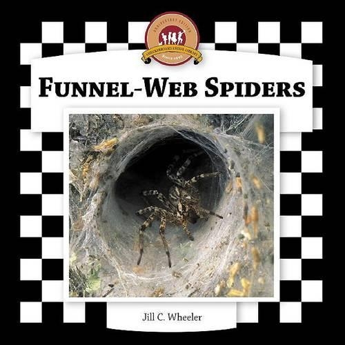 Funnel-Web Spiders