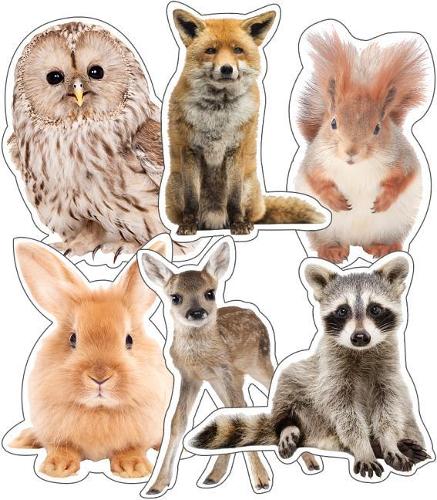 Woodland Whimsy Animals Cut-Outs