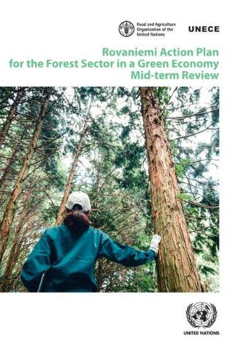Rovaniemi Action Plan for the forest sector in a green economy: mid-term review(47 Geneva timber and forest discussion paper)